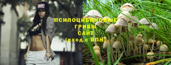 ALPHA-PVP Бутурлиновка