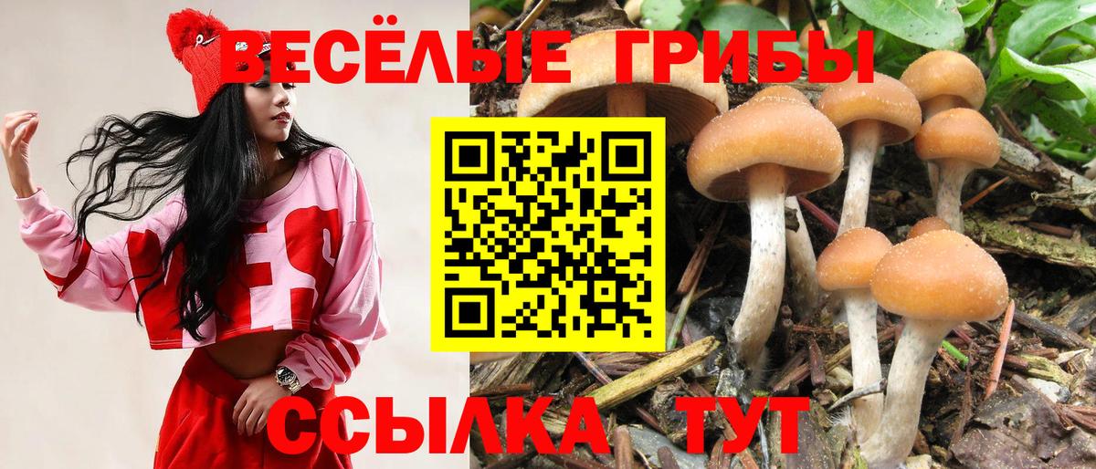 Псилоцибиновые грибы мухоморы Шатура