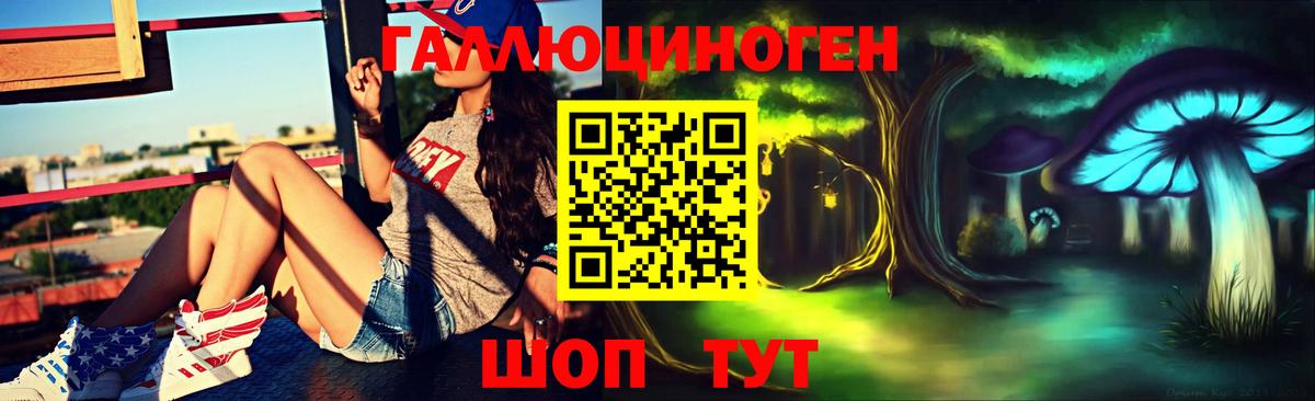 Шатура  Галлюциногенные грибы MAGIC MUSHROOMS  Вход с VPN 